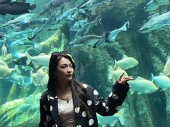 -哈尔滨波塞冬海底世界