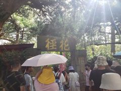 -庐山风景区花径公园