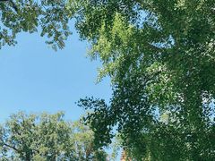 -北京石刻艺术博物馆(五塔寺)