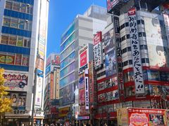 -秋叶原电器街