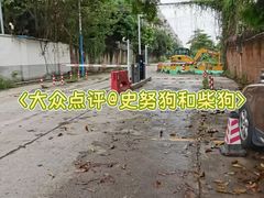 -东乡村龙舟训练基地