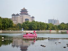 -莲花池公园
