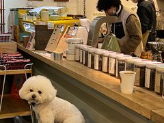 -唐咖精品咖啡(大理古城手冲店)