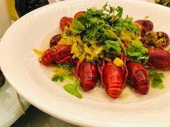 -新日月育才大酒店-中餐厅(环城北路店)