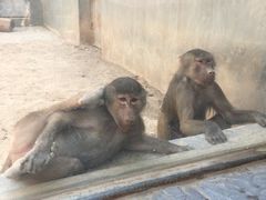-银川动物园