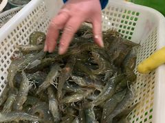 -京深海鲜市场(光彩路店)