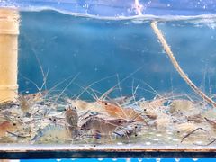 -阿马蛋汤·宁波小海鲜(总店)