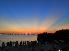 -宝安西湾红树林湿地公园