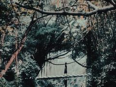 -燕晗山郊野公园