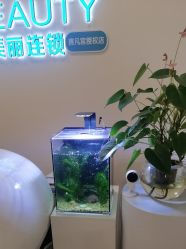 -S&G Beauty轻奢皮肤管理中心