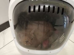 -艾吉宠物医院·疑难杂症转诊中心·猫友好(碧江路院)
