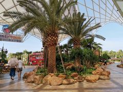 -三亚海昌梦幻海洋不夜城