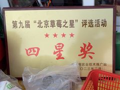 -大自然农场蔬菜草莓采摘园