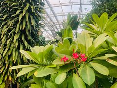 -北京植物园-展览温室