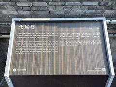 -黄贤森林公园