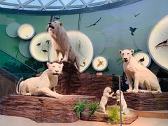 -陕西自然博物馆