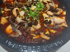 -万和源炝锅城·活鱼现炝(文艺北路店)