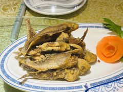 -老雒阳面馆·水席·洛阳菜(纱厂路店)
