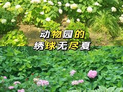 -北京动物园