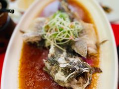 清蒸笋壳鱼-荷风细雨·中国茶宴(碧云店)