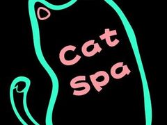 -70cat德文卷毛猫·缅因猫纯种猫舍