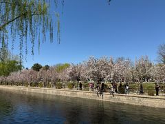 -元大都城垣遗址公园