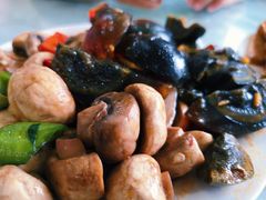 -杨记拉面总店