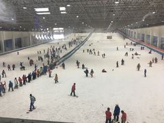 -绍兴启迪乔波冰雪世界