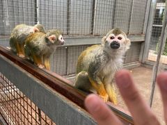 -武清南湖绿博园