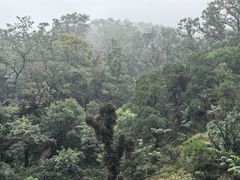 -华夏良子·足道SPA艾灸(龙潭路店)