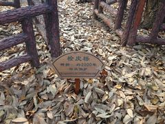 -皇藏峪国家森林公园
