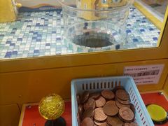 -汤姆熊欢乐世界(滨江店)