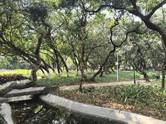 -黄埔荔枝公园