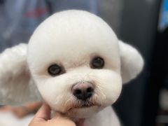 -宠物家(角门东店)