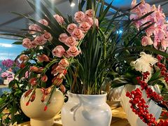 -三圣花乡旅游区