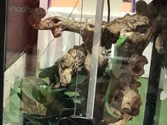 -亚马逊环球美食百汇(新城吾悦广场店)