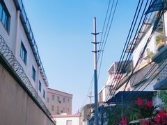 -长洲岛