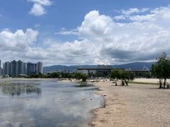 -洱海月湿地公园