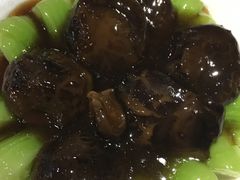 -糖朝(尖沙咀店)