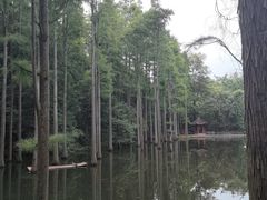 -波尔登森林公园