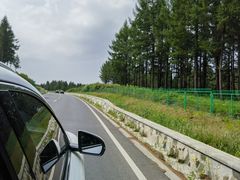 -塞罕坝国家级自然保护区