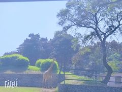 -沈阳森林动物园