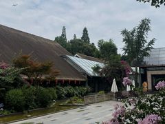 -老房子金沙元年川菜食府·花园餐厅(金沙店)