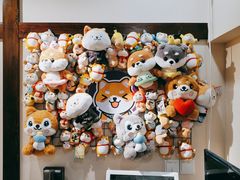 -逗柴咖啡屋·狗咖猫咖宠物桌游