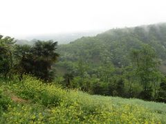 -凤栖山