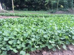 -丰宝源客家菜(常平店)