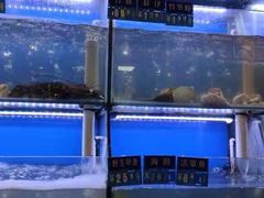 -启东小海鲜(庄先湾路1号店)