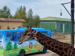 -鄂尔多斯野生动物园