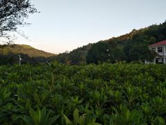 -石燕湖生态旅游景区
