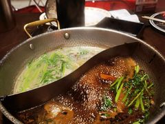 卤水火锅VS养生滋补鸳鸯锅-潮澎派·潮州菜(南国明珠店)